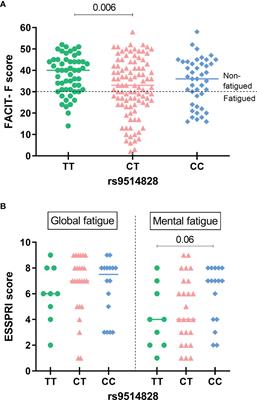 Genetic Variants of the BAFF Gene and Risk of Fatigue Among Patients With Primary Sjögren’s Syndrome